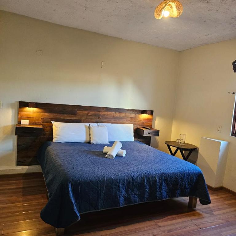 Arte Sano Hotel San Cristobal - King Room with Garden View - 10