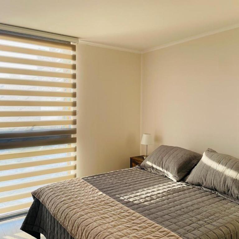 Departamento Moderno, cómodo & full equipado - One-Bedroom Apartment - 3