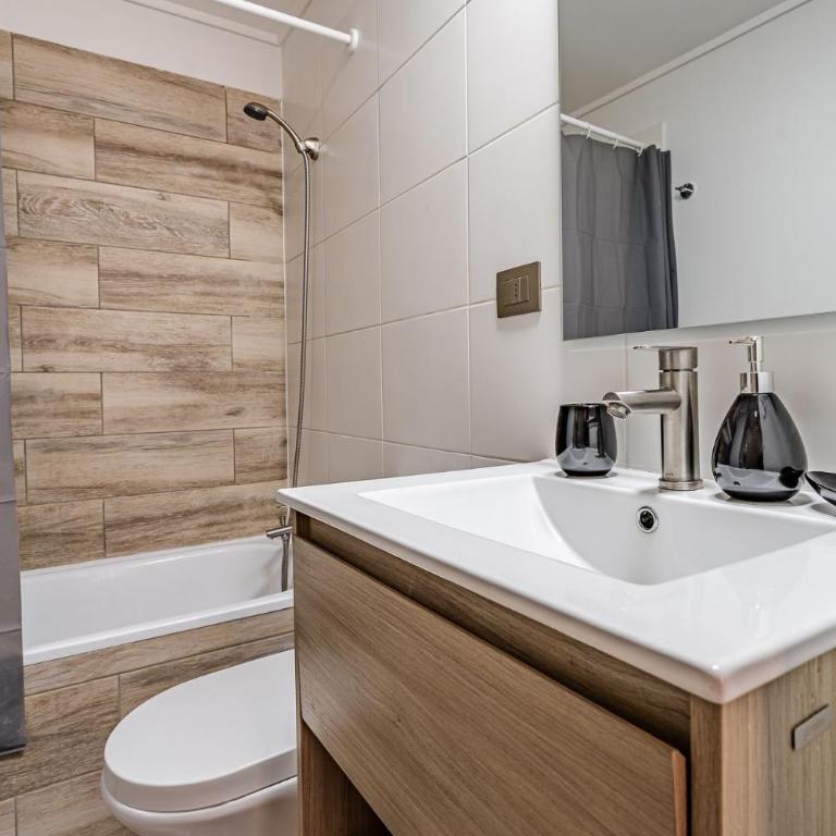 Condor Suites Executive Santiago Centro offers a terrace, barbecue, and Wi-Fi - Apartment with Terrace - 35