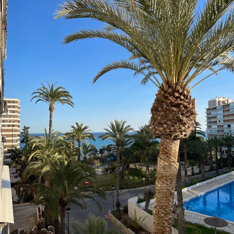Alicante Muchavista-Sea View Pool Wifi AC - Apartment - 1