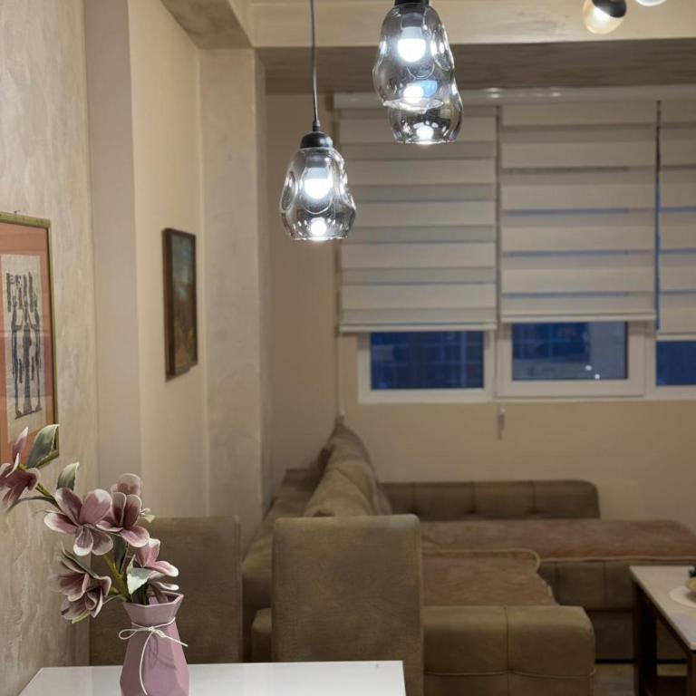 Anja Apartman Centar - One-Bedroom Apartment - 6