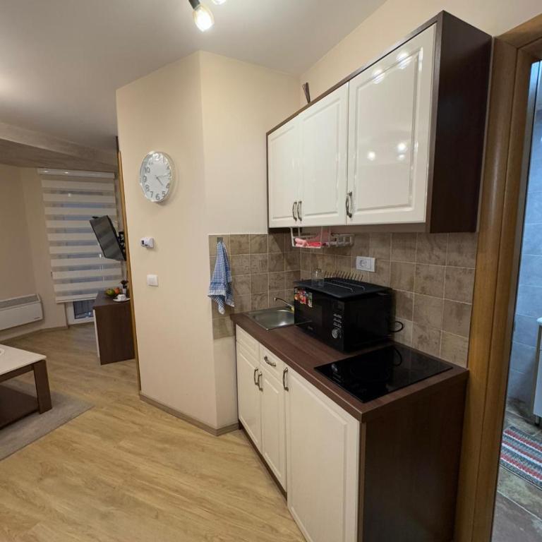 Anja Apartman Centar - One-Bedroom Apartment - 7