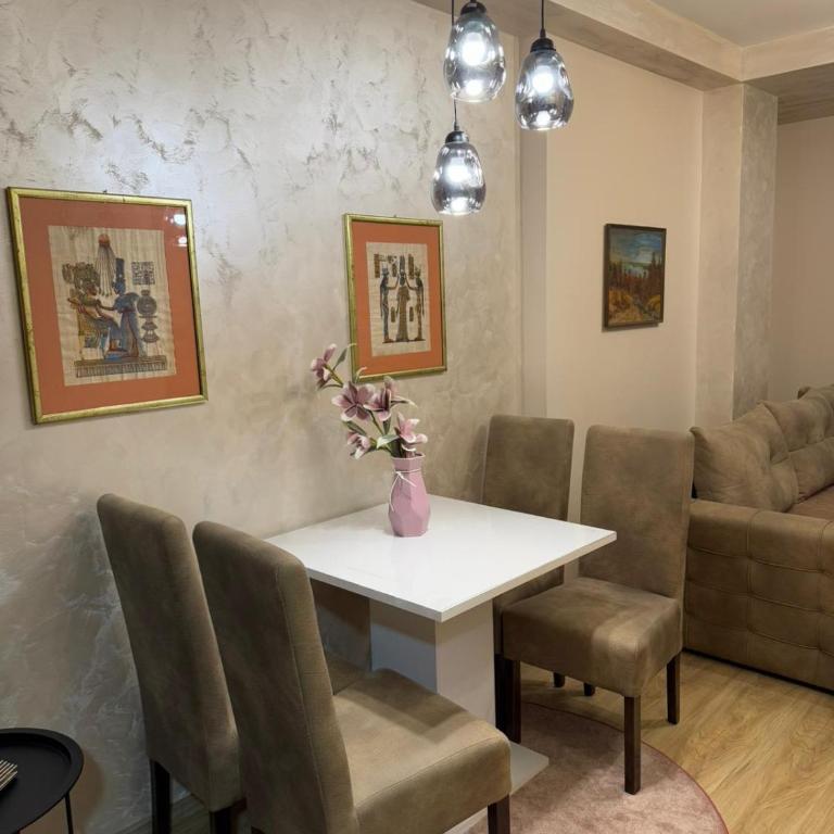 Anja Apartman Centar - One-Bedroom Apartment - 11
