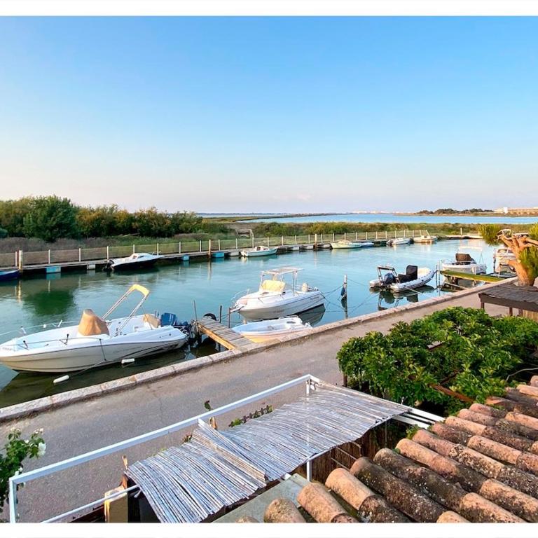 Appartement chaleureux avec vue sur le canal et les étangs - Appartement 1 Chambre - 1