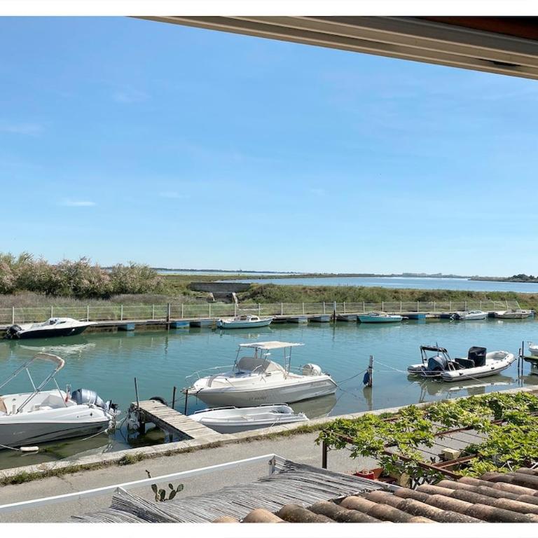Appartement chaleureux avec vue sur le canal et les étangs - Appartement 1 Chambre - 17