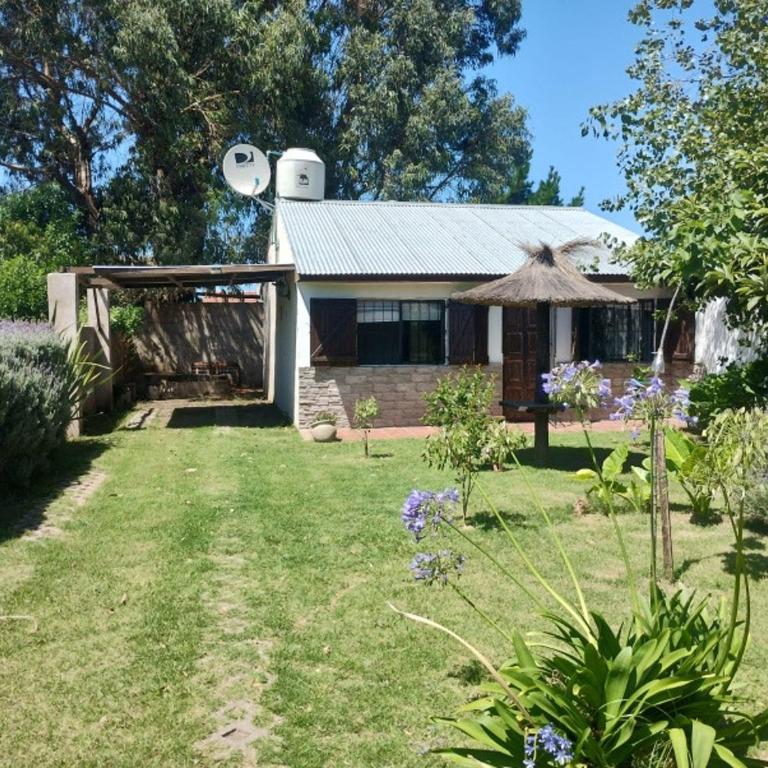 Quinta Araya - Three-Bedroom House - 12