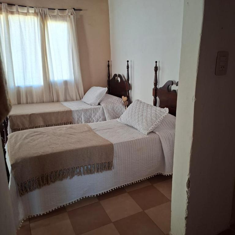 Cactus y Almacen - Purmamarca - One-Bedroom House - 22