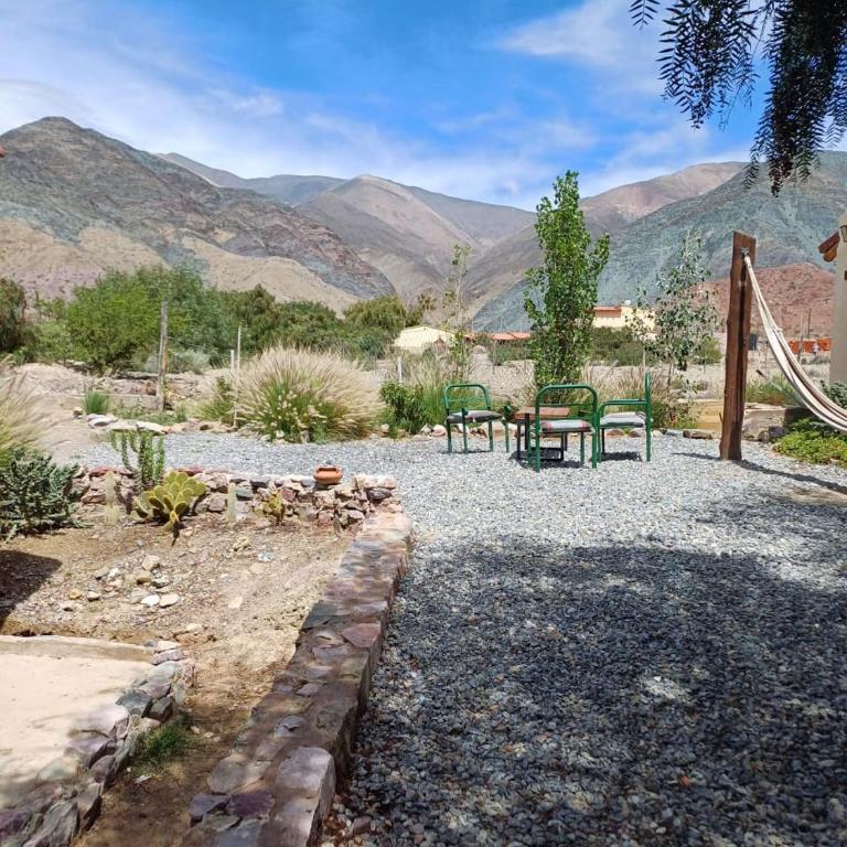 Cactus y Almacen - Purmamarca - One-Bedroom House - 24
