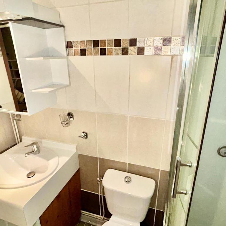 T2 Aix-Les-Bains atmosphere chalet - Appartamento con 1 Camera da Letto - 29