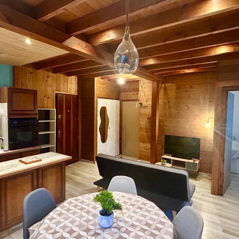 T2 Aix-Les-Bains atmosphere chalet - Appartamento con 1 Camera da Letto - 1