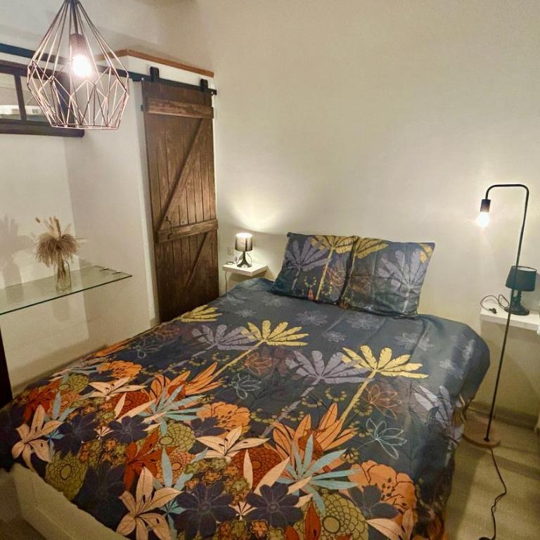 T2 Aix-Les-Bains atmosphere chalet - Appartamento con 1 Camera da Letto - 31