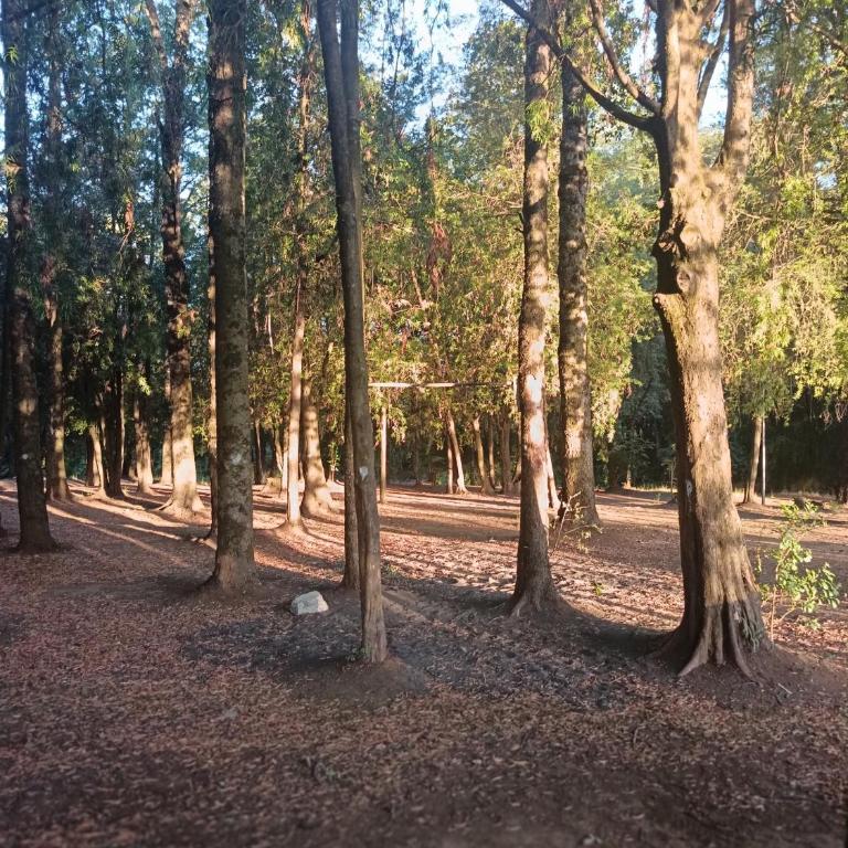 Casa en Ñancul-Villarrica - One-Bedroom House - 7