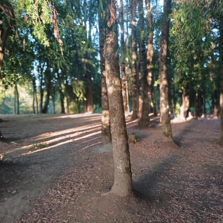 Casa en Ñancul-Villarrica - One-Bedroom House - 14