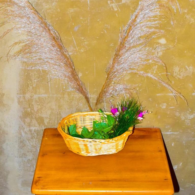 Albergue Salkantay Chawllay - Twin Room with Private Bathroom - 12