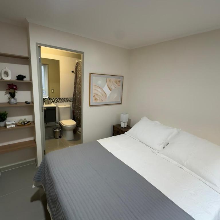 Departamento acogedor en el Corazón de Santiago - One-Bedroom Apartment - 9