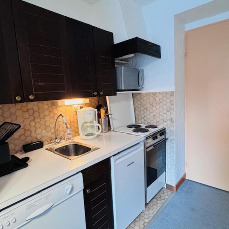 Charmant studio au cœur des Deux Alpes pour 4 pers. - FR-1-546-66 - Estudio - 7