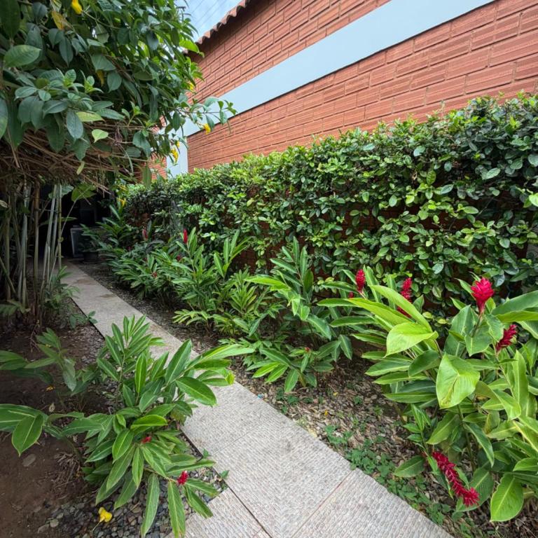 Casa Palmeras Tarapoto - Five-Bedroom House - 3
