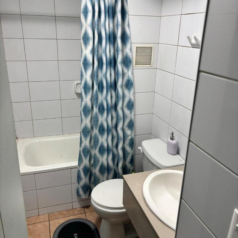 Departamento cerca de Cavancha - One-Bedroom Apartment - 4
