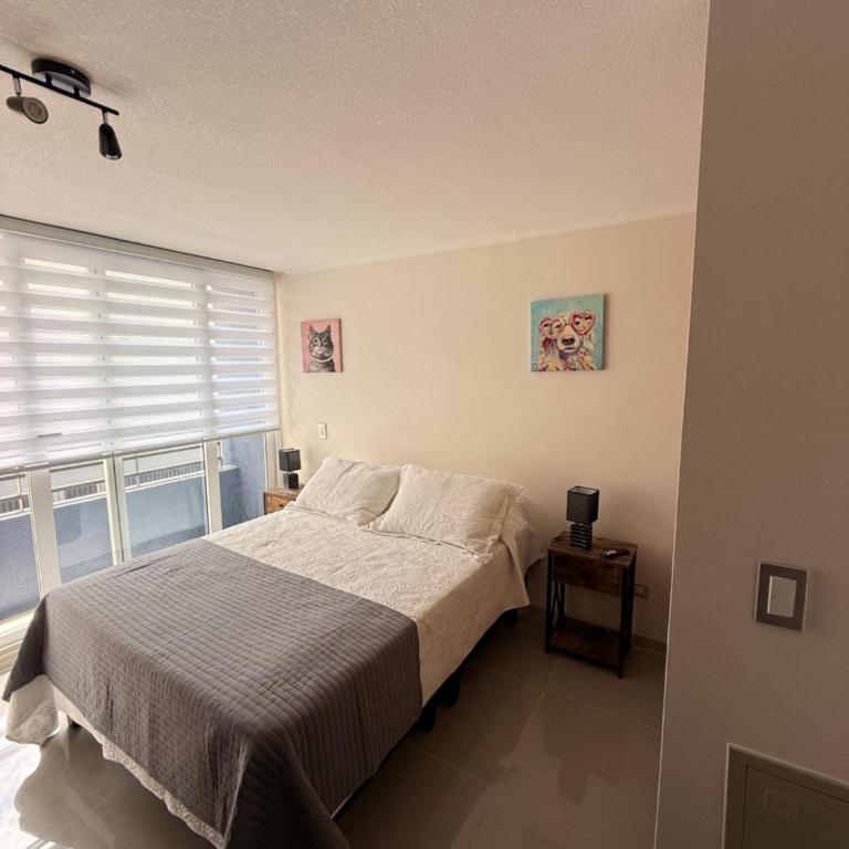 Acogedor Studio en Centro De Santiago - Barrio Brasil - One-Bedroom Apartment - 2