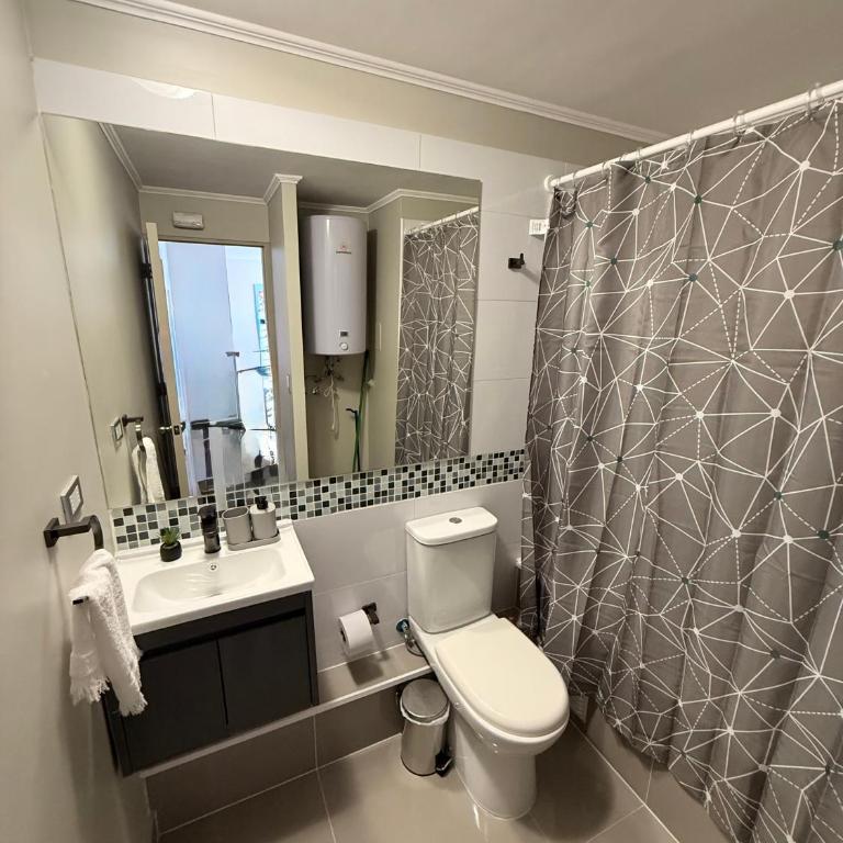 Acogedor Studio en Centro De Santiago - Barrio Brasil - One-Bedroom Apartment - 4