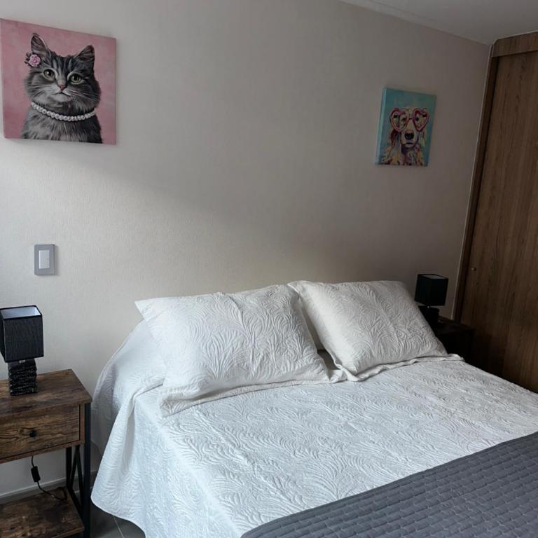 Acogedor Studio en Centro De Santiago - Barrio Brasil - One-Bedroom Apartment - 9
