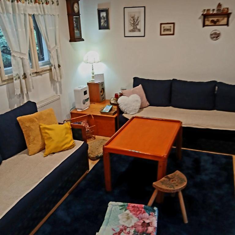 Planinska kucica Srce - Kuća sa 2 Spavaće Sobe - 11