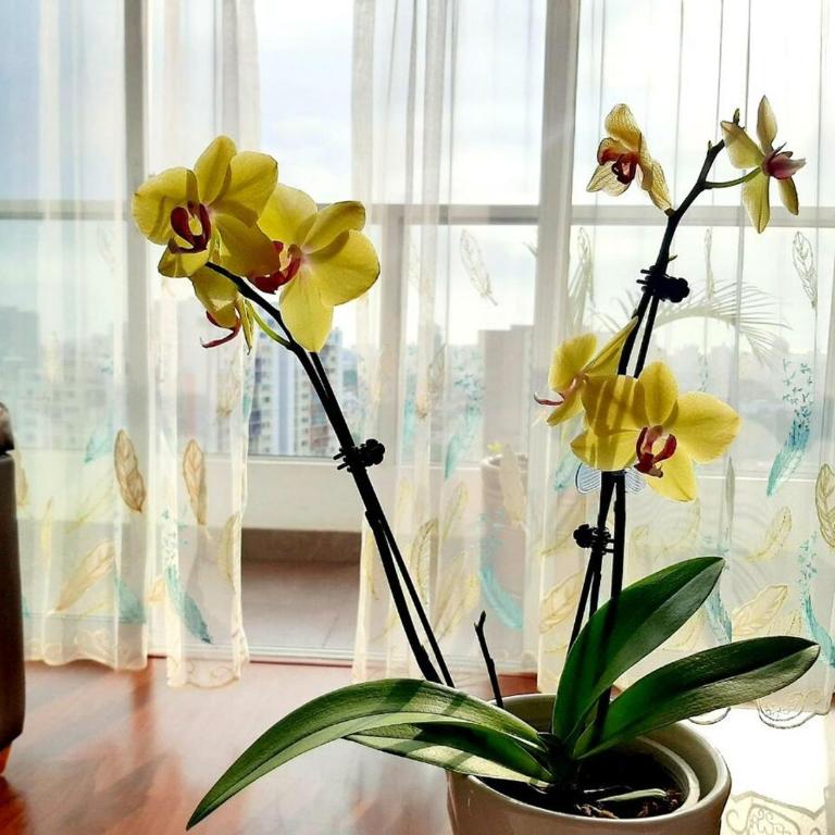 Unidos en Familia - Three-Bedroom Apartment - 28