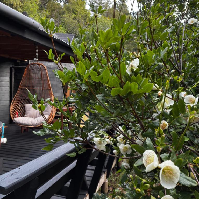 Domoñikemen, los Lleuques, termas de chillan - Two-Bedroom House - 2