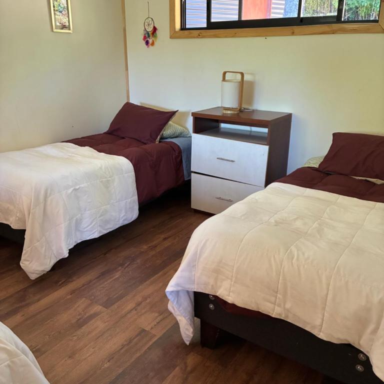 Domoñikemen, los Lleuques, termas de chillan - Two-Bedroom House - 8
