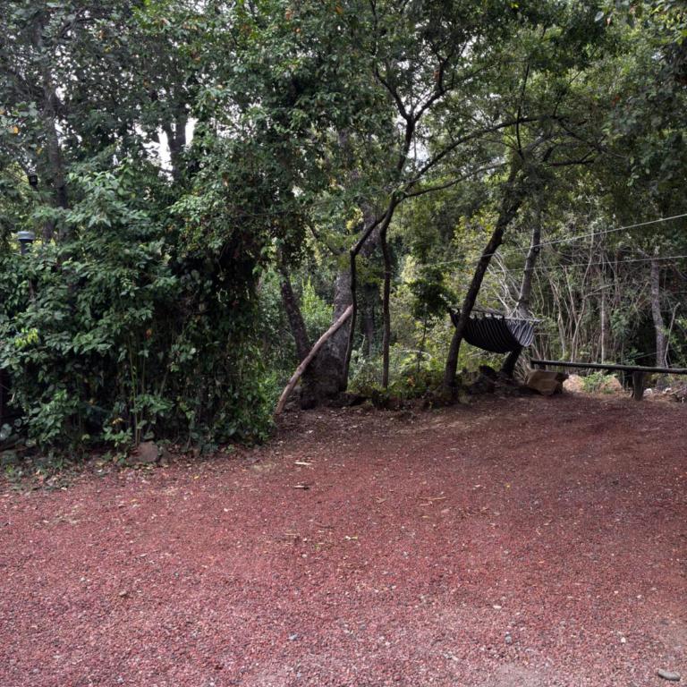 Lodge Domoñikemen, los Lleuques, termas de Chillán - Two-Bedroom House - 40