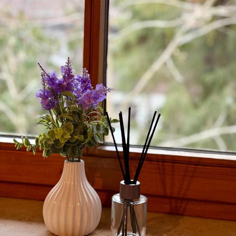 Ferienwohnungen an der RupertusTherme - Apartment mit 1 Schlafzimmer, Balkon und Bergblick - 11