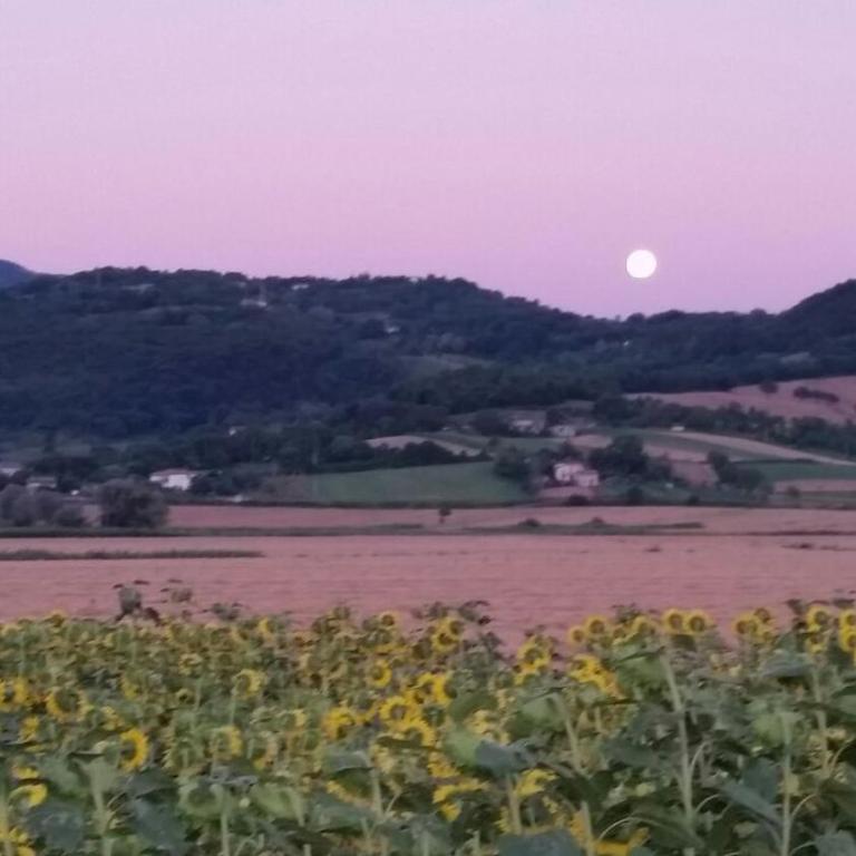 Agriturismo Torrenieri da Alessandro - Appartamento con Terrazza - 18