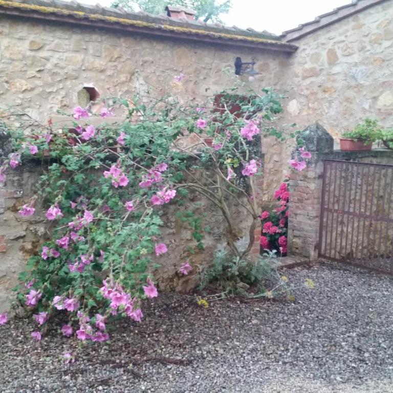 Agriturismo Torrenieri da Alessandro - Appartamento con Terrazza - 8