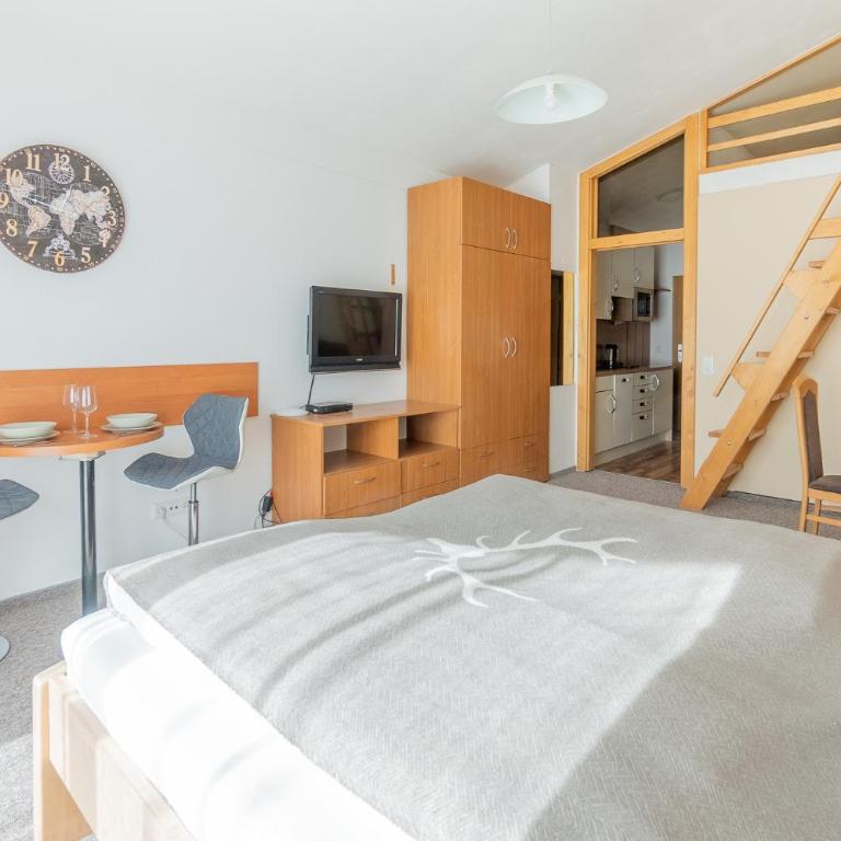 Praga Apartments & Restaurant Zell am See-Kaprun - Studio - 4