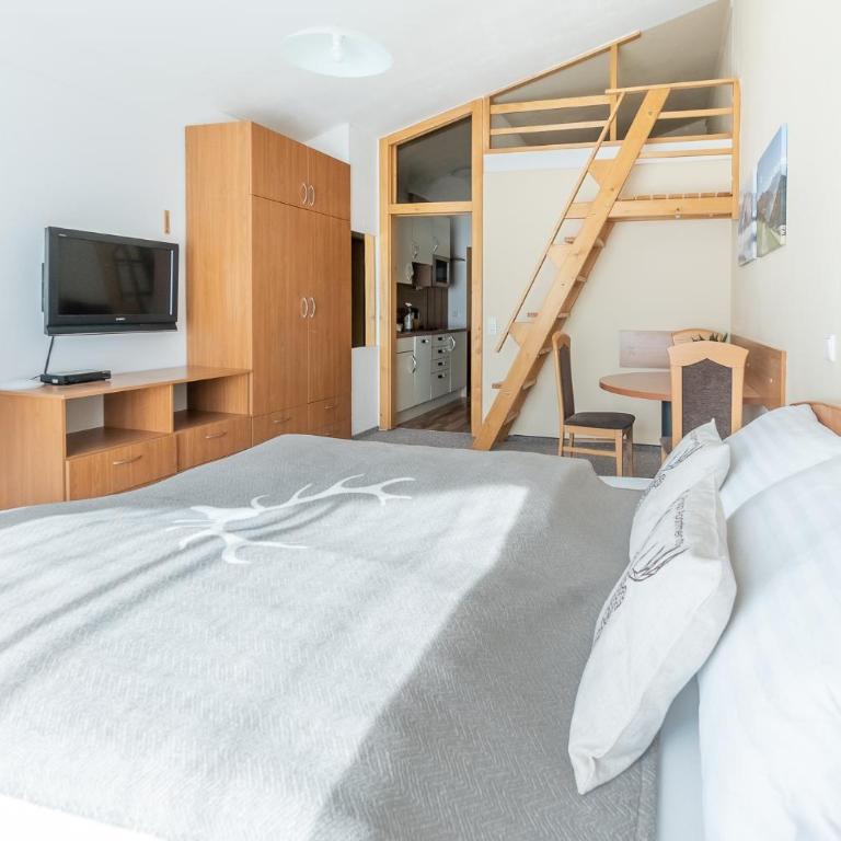 Praga Apartments & Restaurant Zell am See-Kaprun - Studio - 5
