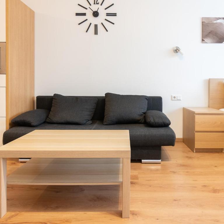 Praga Apartments & Restaurant Zell am See-Kaprun - Studio - 3