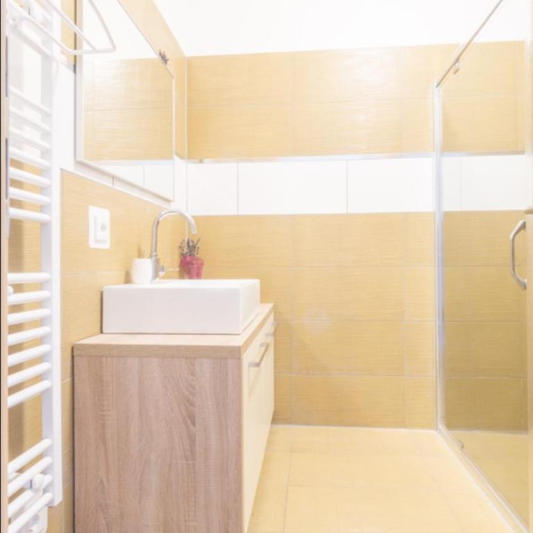 Praga Apartments & Restaurant Zell am See-Kaprun - Studio - 2