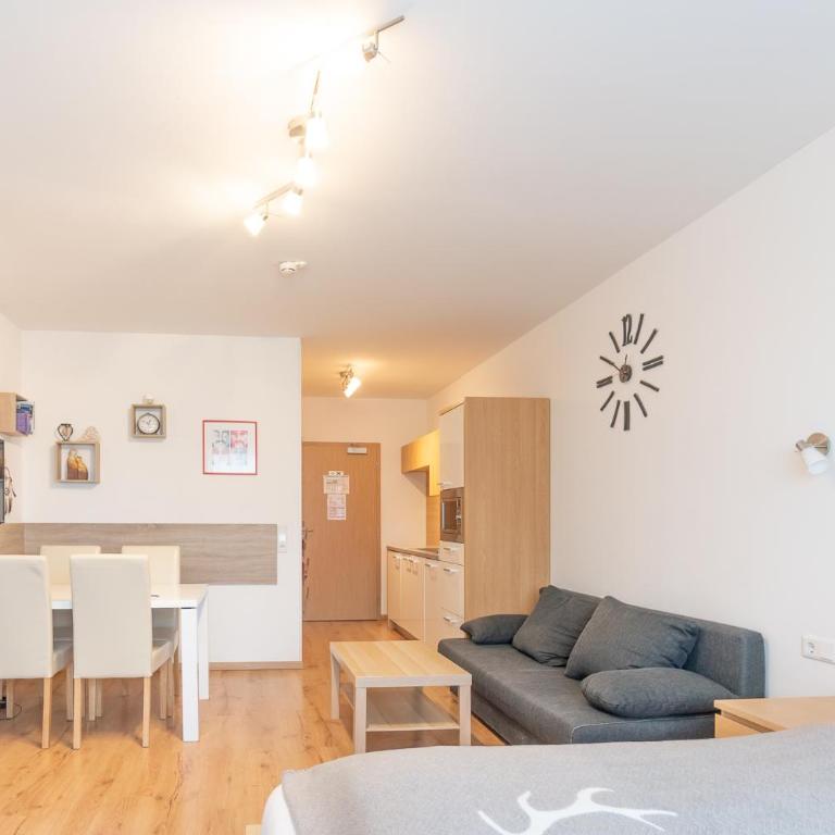 Praga Apartments & Restaurant Zell am See-Kaprun - Studio - 4