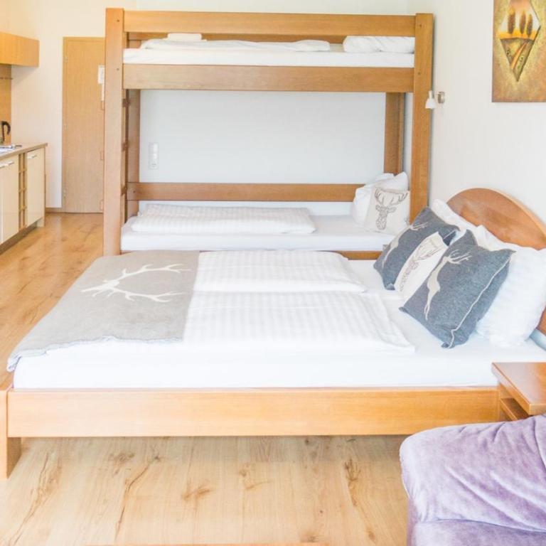 Praga Apartments & Restaurant Zell am See-Kaprun - Studio - 6