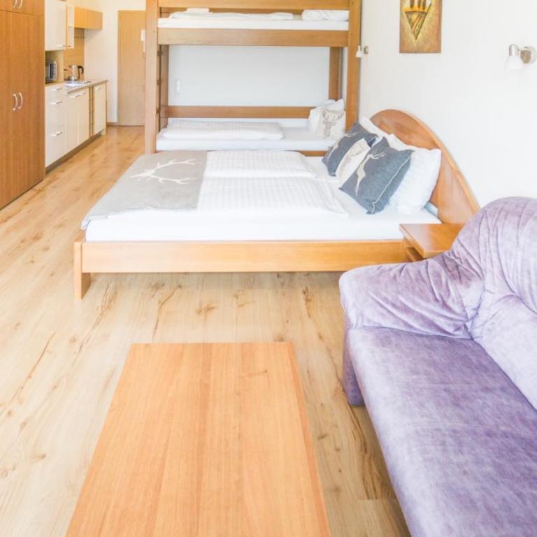 Praga Apartments & Restaurant Zell am See-Kaprun - Studio - 7