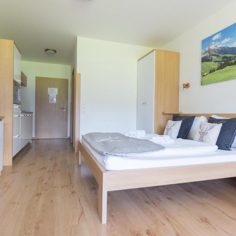 Praga Apartments & Restaurant Zell am See-Kaprun - Studio - 9