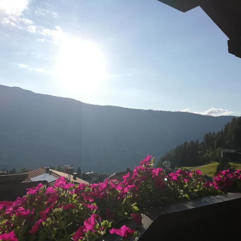 Activ-Family-Apart-Wisiol-Pitztal Sommercard inklusive - Apartment mit 3 Schlafzimmern und Balkon - 6