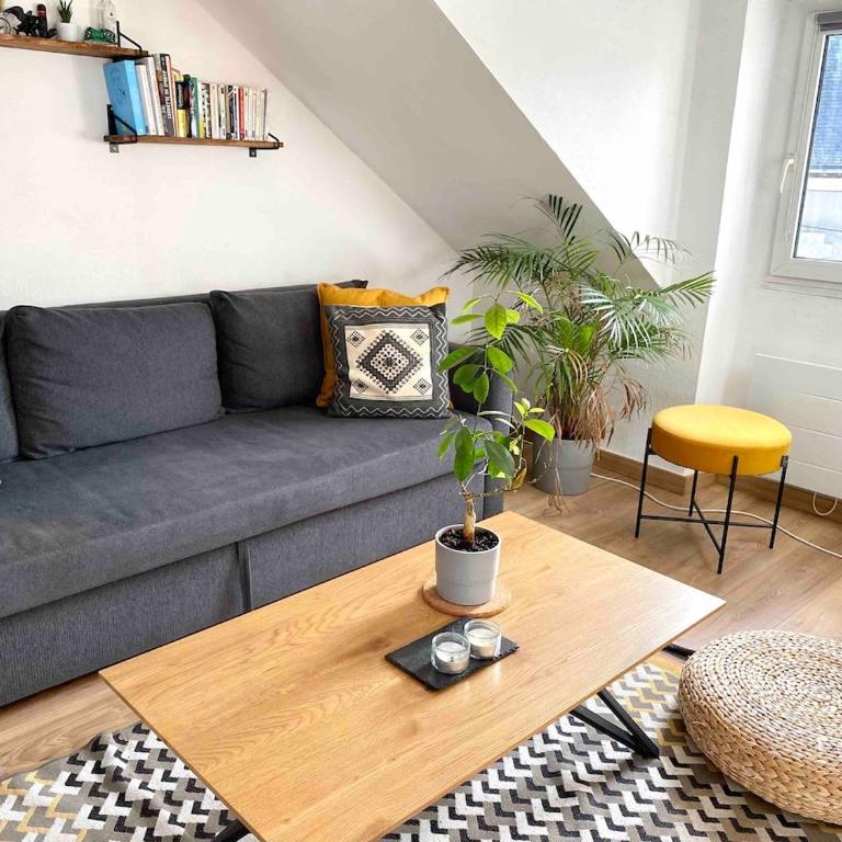 Bel appartement de charme, calme au centre ville MH - Apartment mit 1 Schlafzimmer - 16