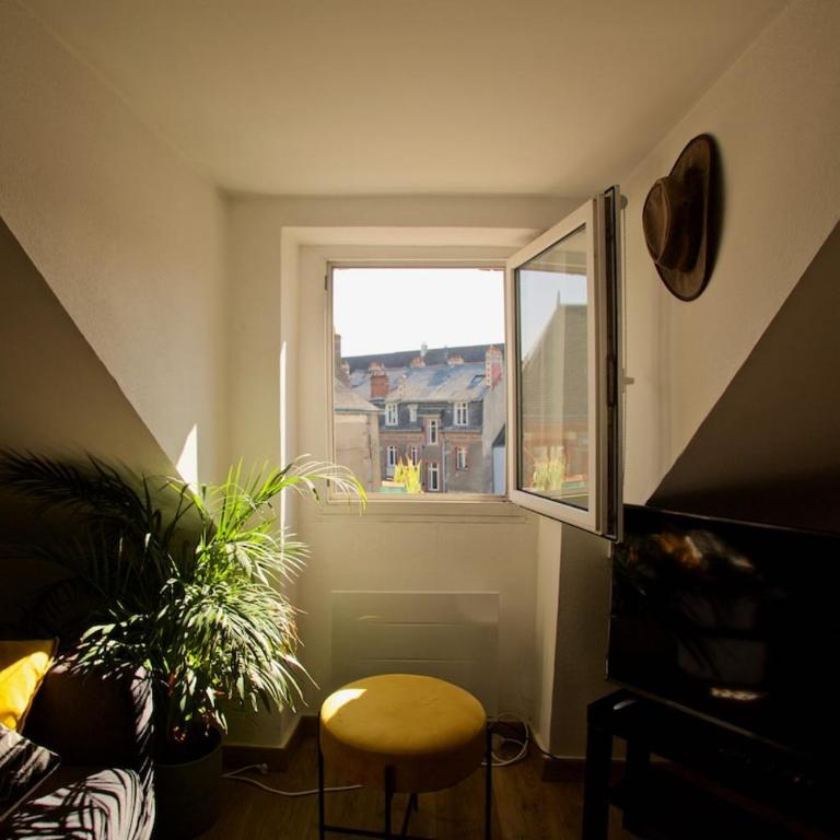 Bel appartement de charme, calme au centre ville MH - Apartment mit 1 Schlafzimmer - 18