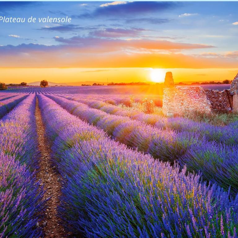 Escapade à deux en Provence, Adresse calme, centre à pied, Wifi, Climatisation et Parking gratuit à 50m - Studio - 15