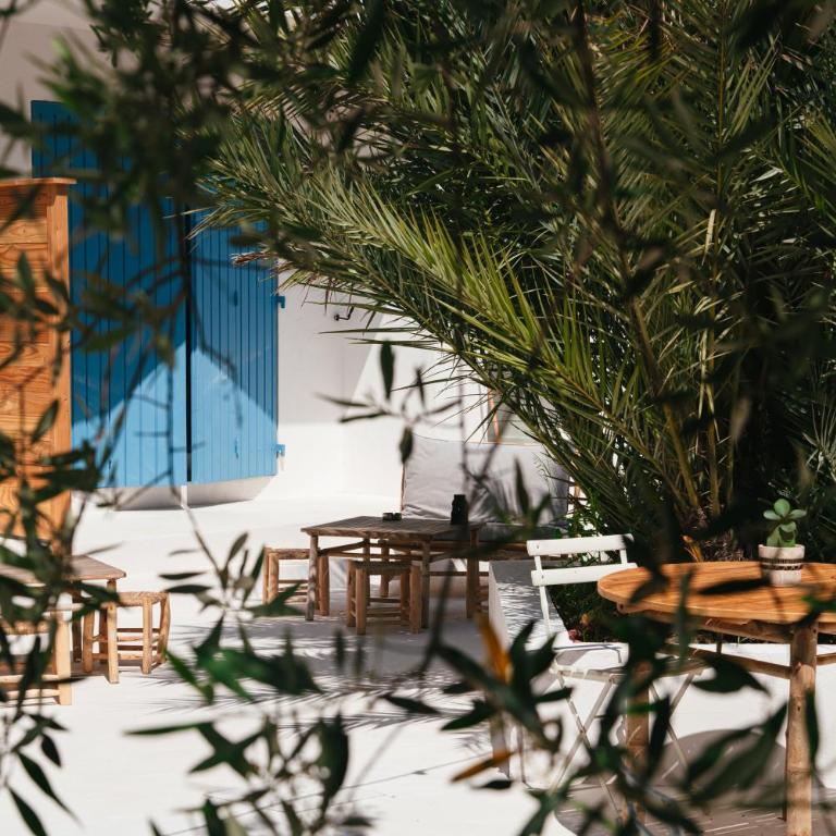 Hôtel Casa Marina - Chambre Familiale - Vue sur Jardin - 6