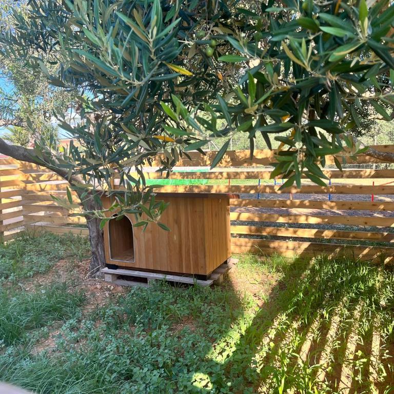 B&B La Chicca di Milu' for Pet Lovers, un'oasi pet-friendly tra mare e campagna - Camera Deluxe - 37