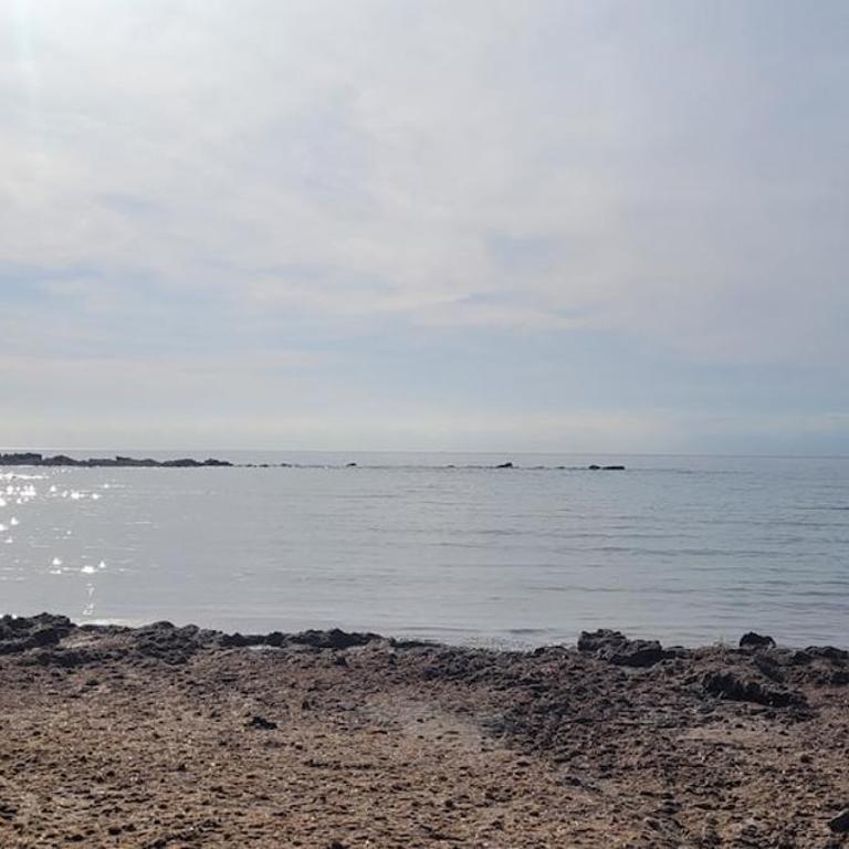 apartamento a 2 minutos del mar - Apartamento de 1 dormitorio - 18