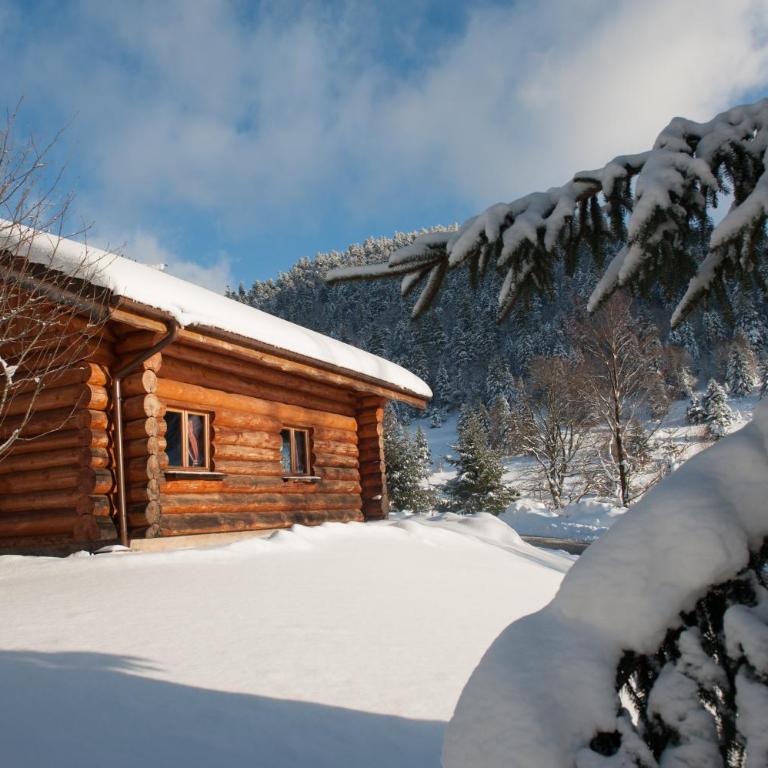 Le Couarôge Chalets et Appartements - Chalet 3 Chambres (6 Personnes) - 11