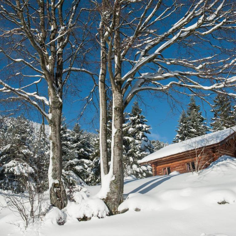 Le Couarôge Chalets et Appartements - Chalet (8 adultos) - 11